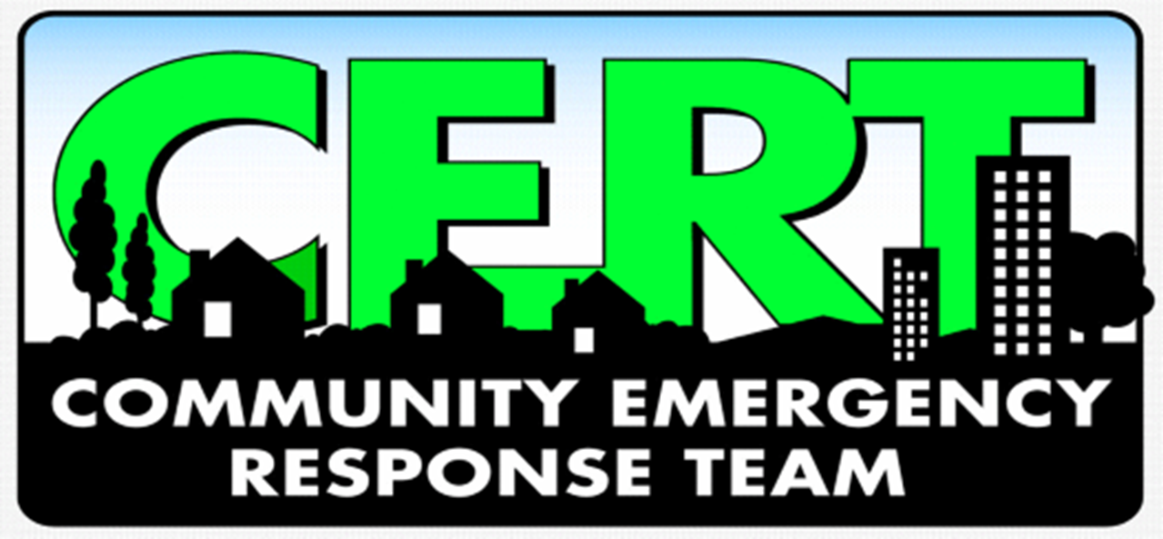 Pulaski County Emergency Management Logo