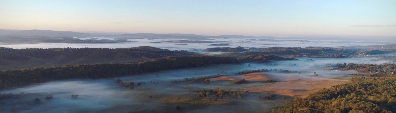 Pulaski County Landscape